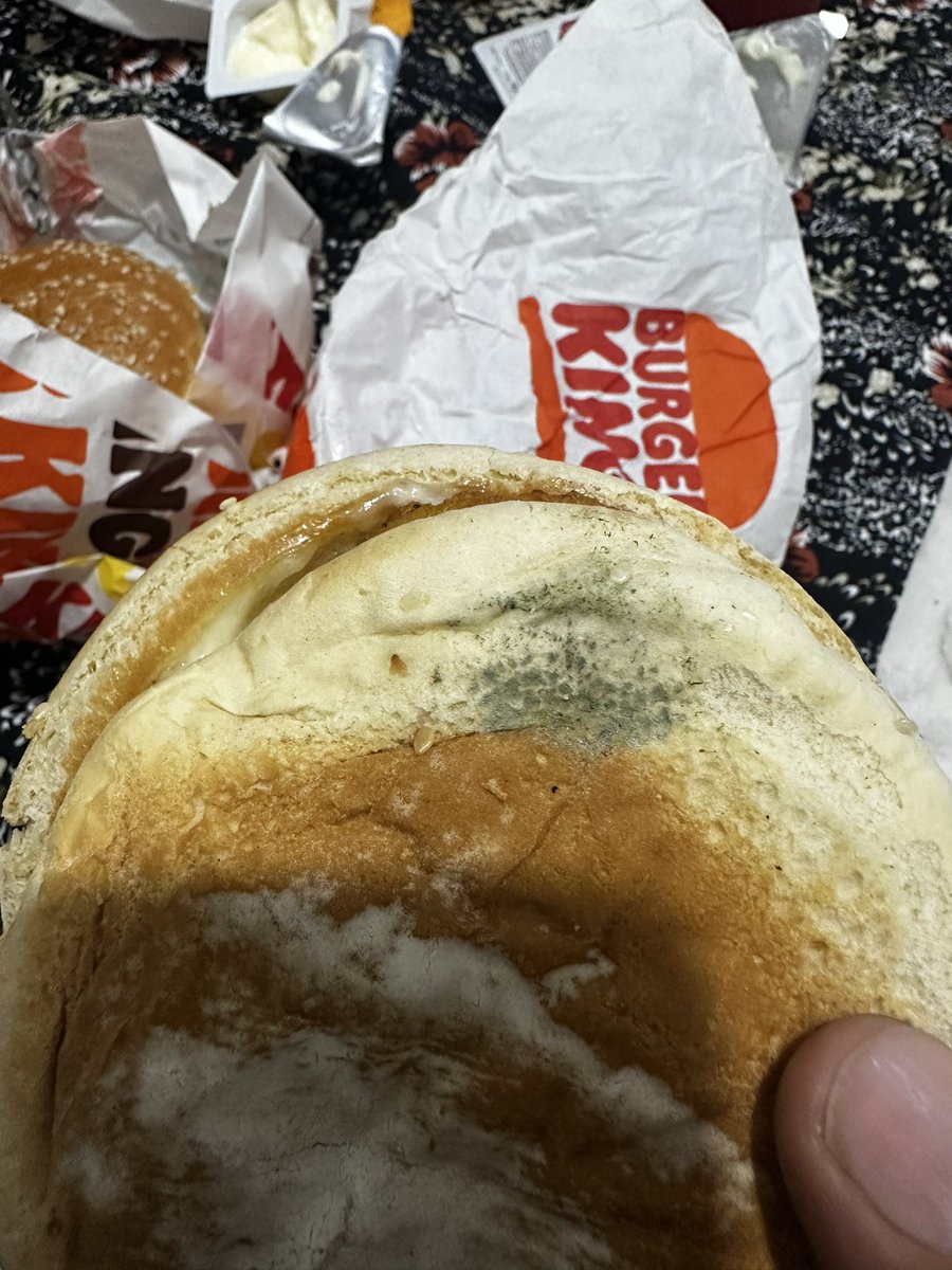 1econometrician's tweet photo. @BurgerKingTR @GetirYemek @tabgidakurumsal küflü ekmekler çok güzel olmuş 🤢 ücret iadesi yaptınız ama bu rezilliğinizi değiştirmez. @denetlecomtr https://t.co/TfHnnSpqVi