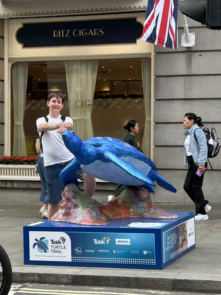 OliverTomlinMYP's tweet photo. This month I went and found the @tusk_org #TuskTurtleTrail across London 🐢✨

This summer’s Turtle Trail uses public art to shine a light on marine turtles the ocean’s ancient mariners roaming the seas for over 100 million years! 
(1/2) https://t.co/1geXPKNVud