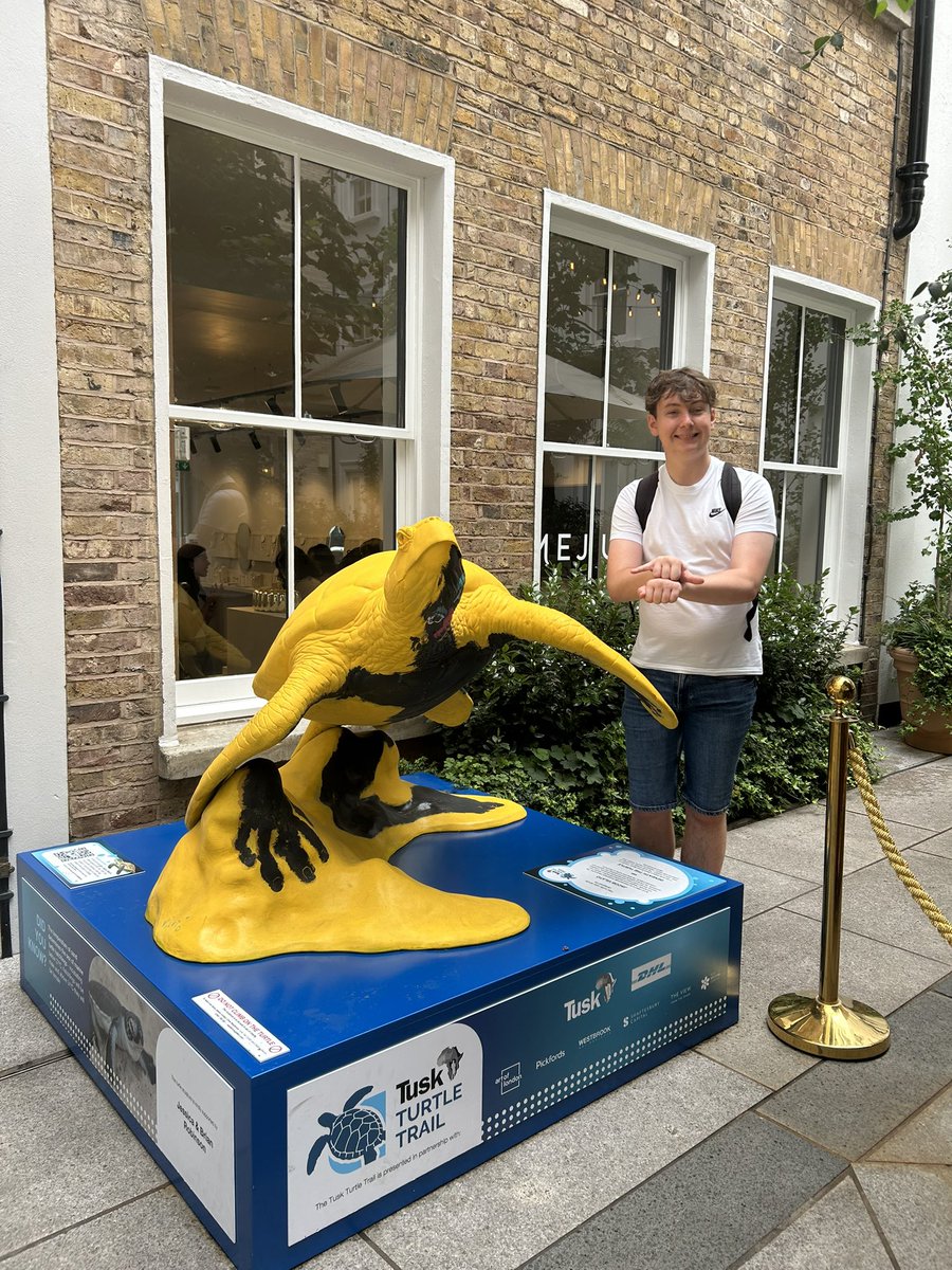 OliverTomlinMYP's tweet photo. This month I went and found the @tusk_org #TuskTurtleTrail across London 🐢✨

This summer’s Turtle Trail uses public art to shine a light on marine turtles the ocean’s ancient mariners roaming the seas for over 100 million years! 
(1/2) https://t.co/1geXPKNVud