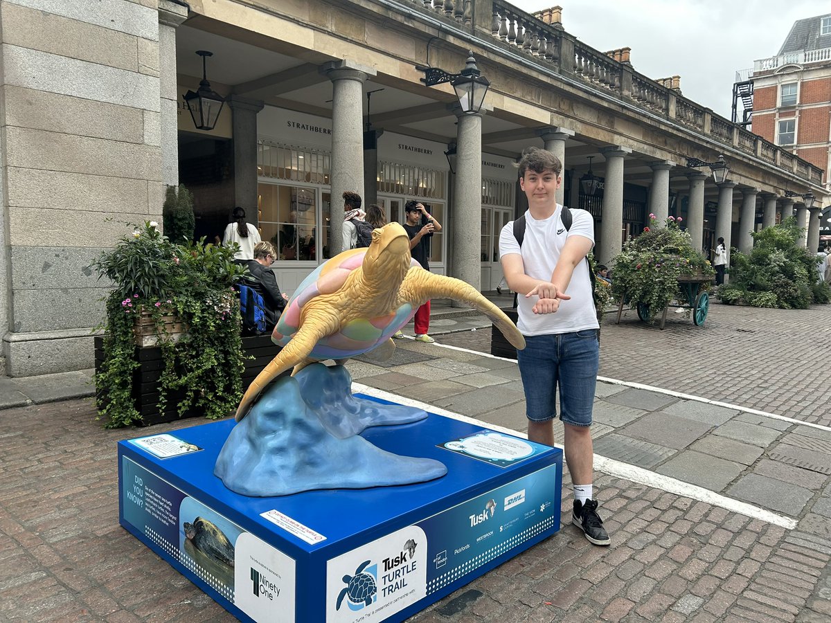 OliverTomlinMYP's tweet photo. This month I went and found the @tusk_org #TuskTurtleTrail across London 🐢✨

This summer’s Turtle Trail uses public art to shine a light on marine turtles the ocean’s ancient mariners roaming the seas for over 100 million years! 
(1/2) https://t.co/1geXPKNVud