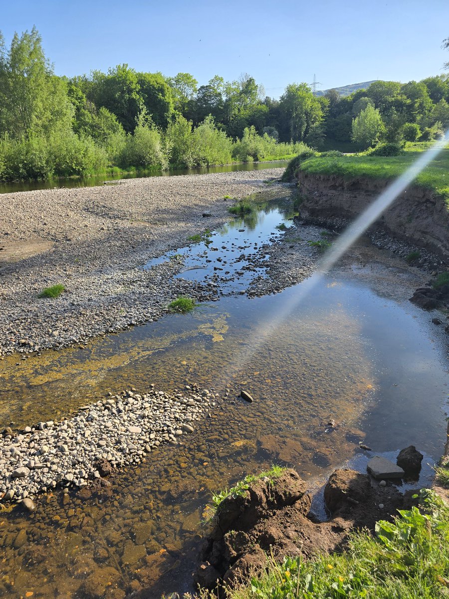 Rhys Morgan ↙️ (@rcmtuning) on Twitter photo Wales online decided that the best representative picture to show the awful state of the usk drought is a tidal stretch in the centre of Newport that has a constant level year round. The other picture is of a salmon holding pool that I took in May. <a href="/WalesOnline/">WalesOnline 🏴</a> sort it out. Wales online decided that the best representative picture to show the awful state of the usk drought is a tidal stretch in the centre of Newport that has a constant level year round. The other picture is of a salmon holding pool that I took in May. <a href="/WalesOnline/">WalesOnline 🏴</a> sort it out.