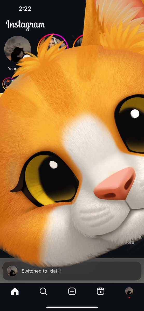 Jackson/Jack 1k+ chickens 🐔 tweet media