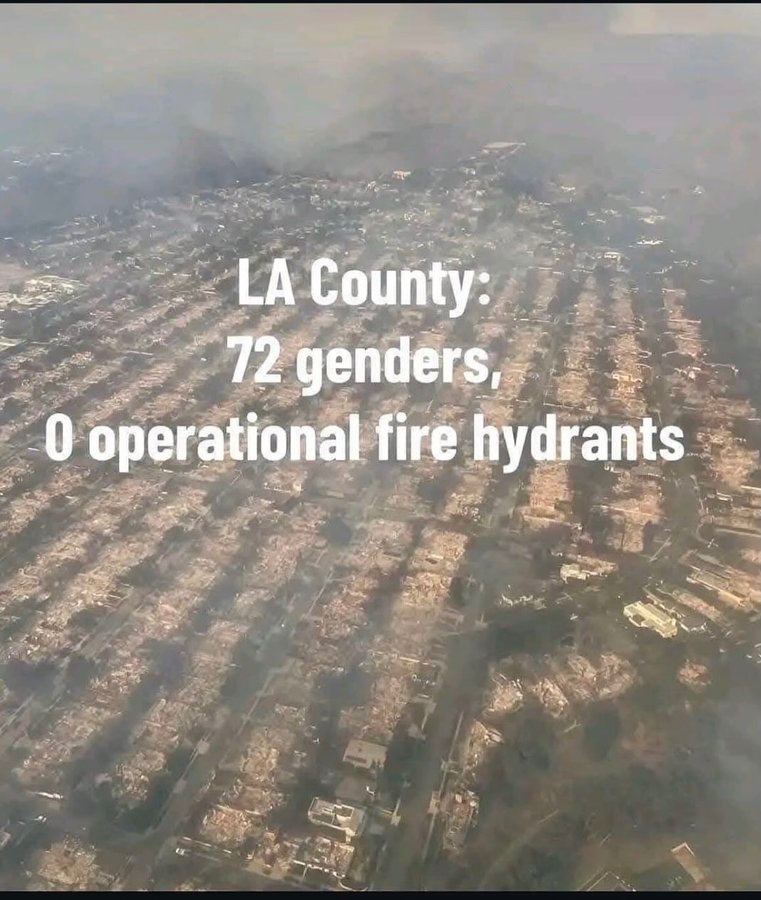 PatriotXV11's tweet photo. Is this a parody account? Seriously! The fact that you use a phrase like “burn it all down” under current conditions could be comical if it were not so tragic and real. You did burn us all down. I’m beginning to seriously wonder if you are a sociopath to use a term as insensitive as that on this huge public forum! Really really sick‼️