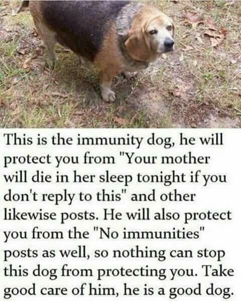 WholesomeMemes (@wholesomememe) on Twitter photo 