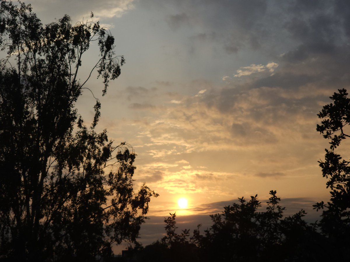 HopeofSpring94's tweet photo. Love it when the sunsets are beautiful again 💜

#SunsetForTae
#Taehyung #VofBTS #뷔 https://t.co/BbhLzUgBOb