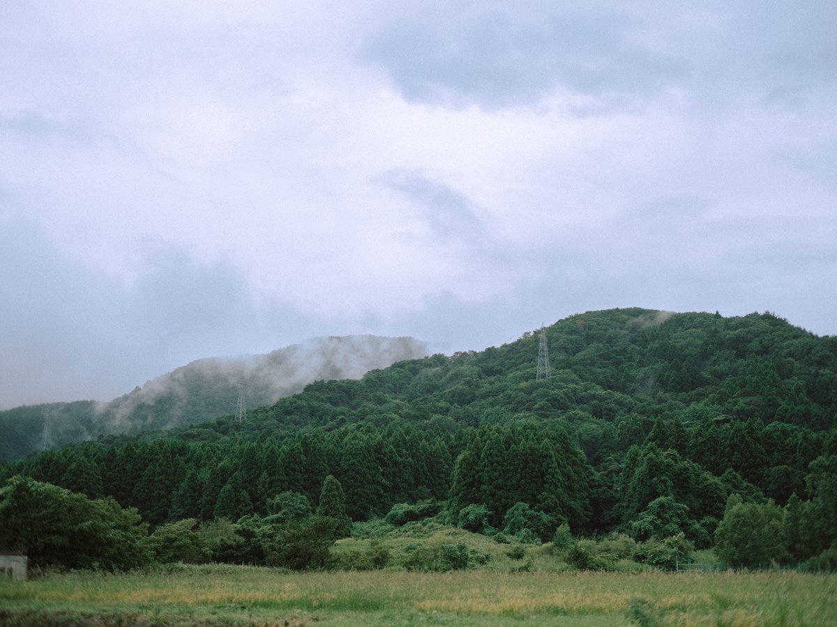 modulelab0's tweet image. Ektar100  #filmlook #cinematiccolor #colorgrading #photography