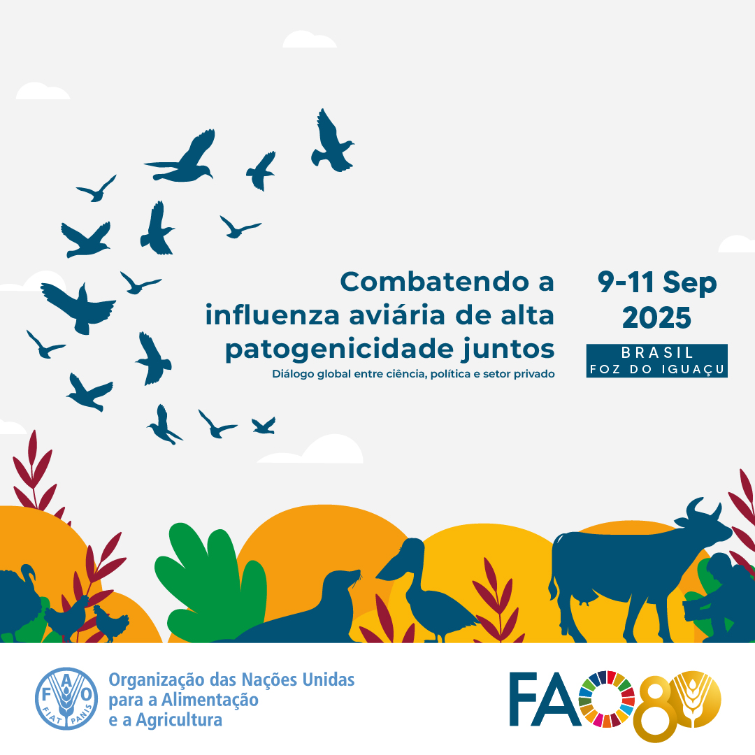 📢 Participe de um dos eventos-chave do ano para a #SanidadeAnimal
Especialistas, autoridades e setor privado vão analisar como a #InfluenzaAviária ameaça a #Economia e a #SegurançaAlimentar 🐔🌍

Saiba mais 👉 fao.org/brasil/noticia…