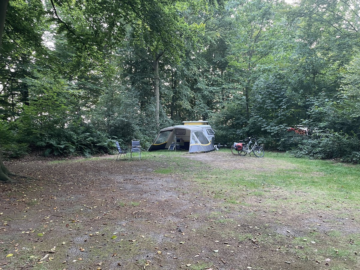 Hermen de Graaf 💐🐕 tweet media