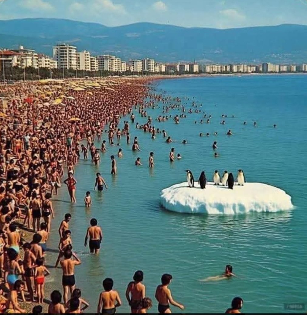 Huh..klimaatverandering 👇