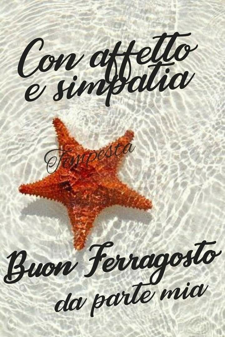 brasorgr's tweet photo. BUON FERRAGOSTO A TUTTI. https://t.co/ARHUFXj1oX
