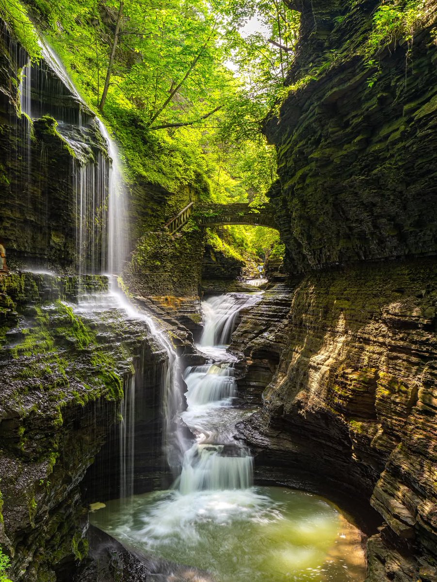 weareFLX's tweet photo. Plan your Watkins Glen getaway for peaceful walks through dreamlike gorges and the endless beauty of cascading waterfalls.
📷: @rp_outdoorspixel
#weareflx #flx #fingerlakes #fingerlakesny #iloveny #flxperience #newyorkexplored #exploreny #flxoutdoors #nylovessummer https://t.co/7yrevmvmPu