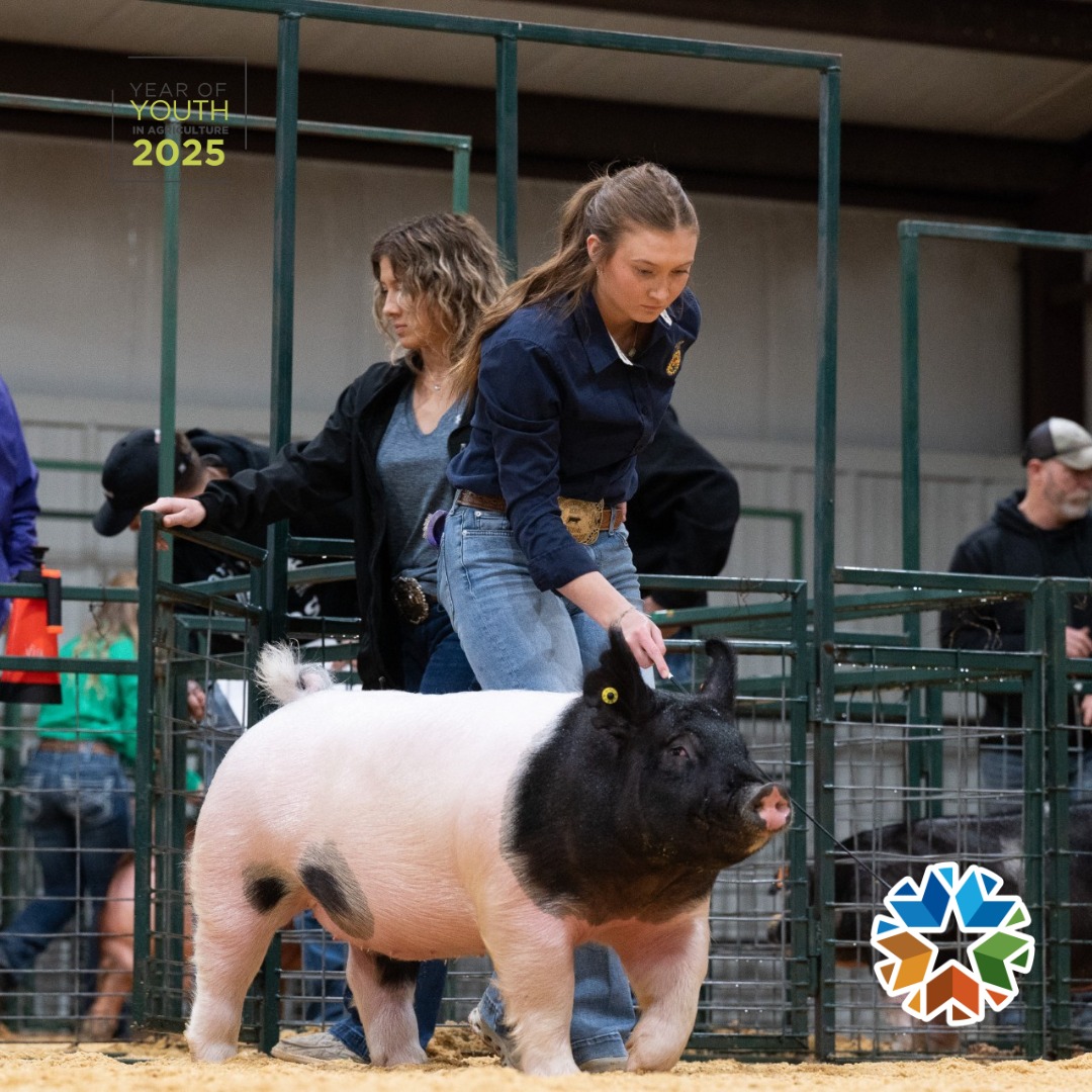 The Year of Youth in Agriculture Spotlight ⭐️

Ally Trotter is a recent graduate from Vian High School and has been showing pigs at a high level for over a decade.
Ally plans to attend Eastern Oklahoma State College where she will be on the soils judging team. 
#OKAg | #AgYouth25