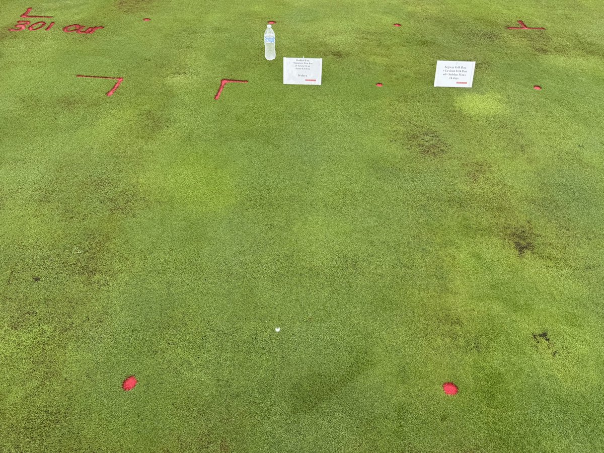 Jesse Benelli tweet media