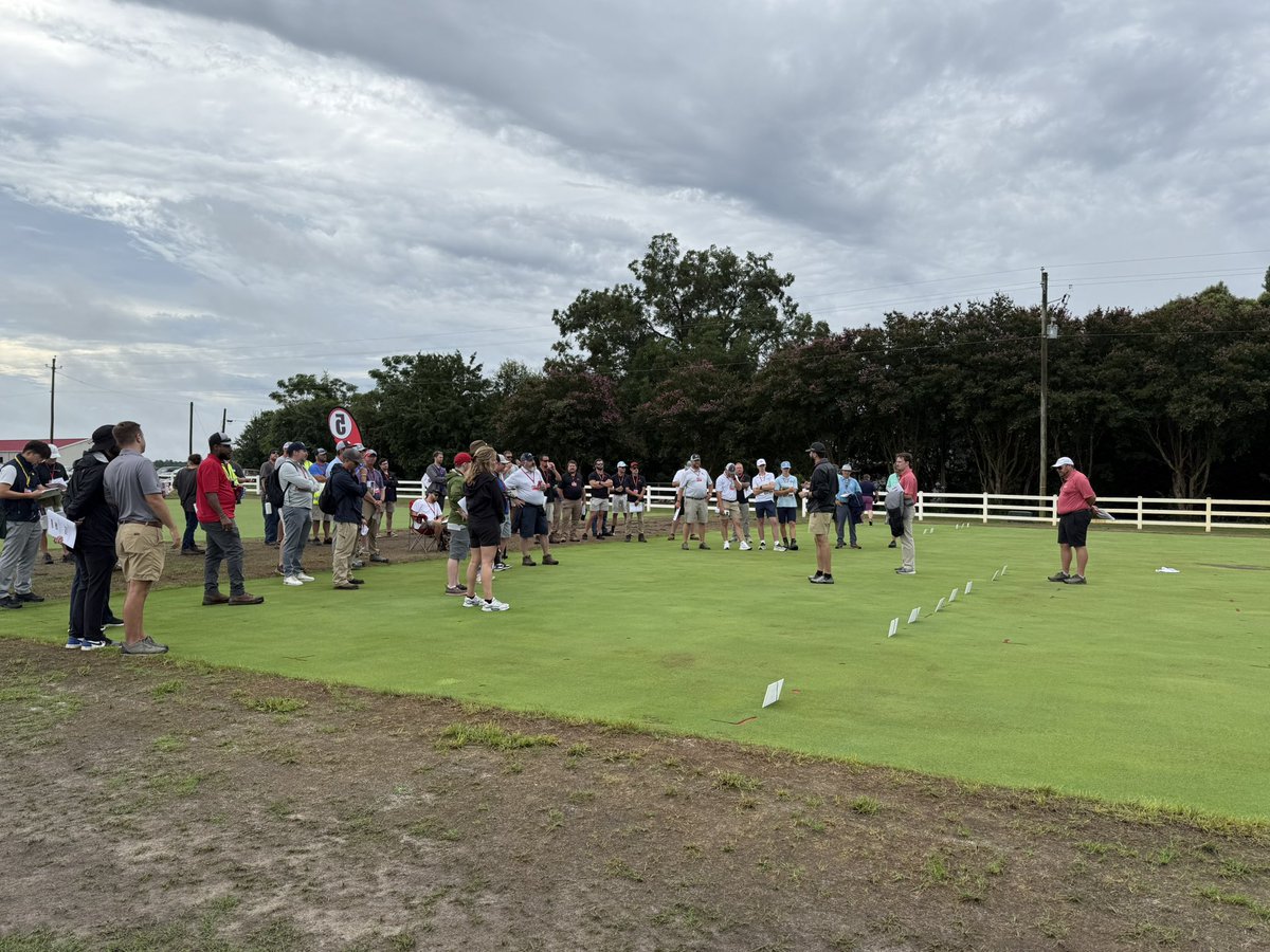 Jesse Benelli tweet media