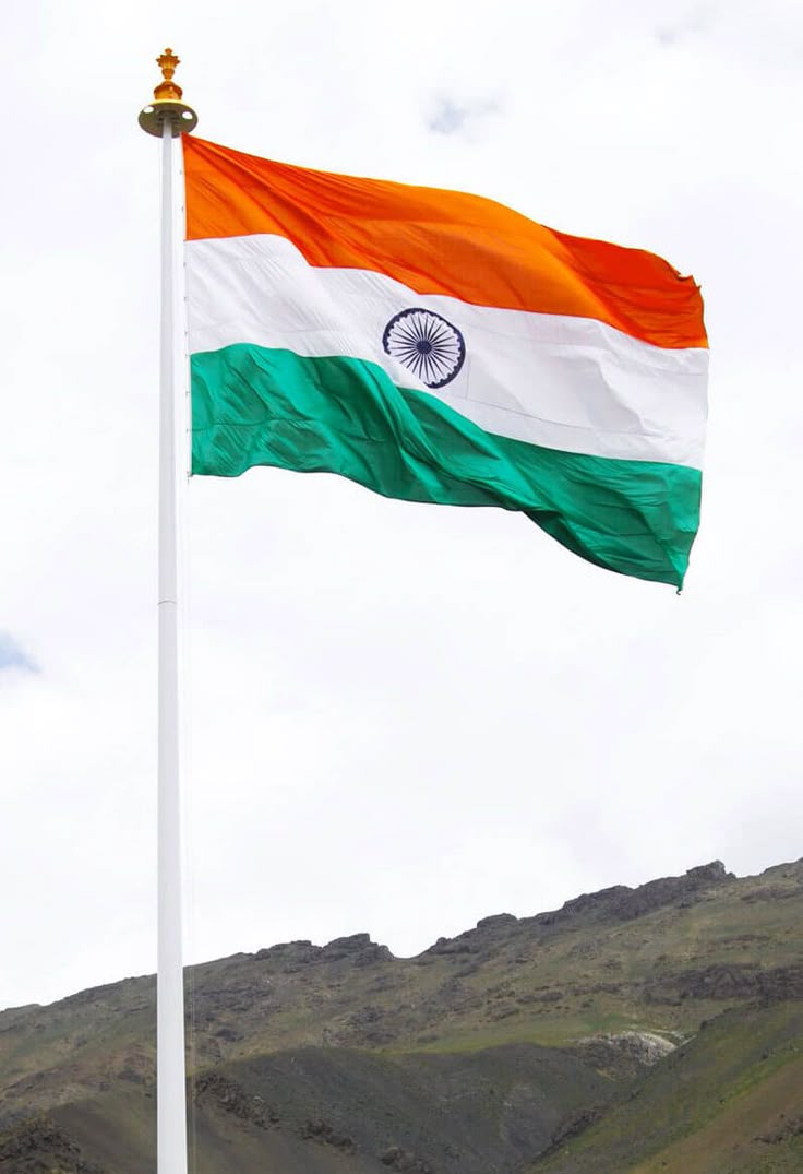 Farmans99's tweet photo. #HappyIndependenceDay2025
#Happyindependenceday https://t.co/fHHwn4BZIK