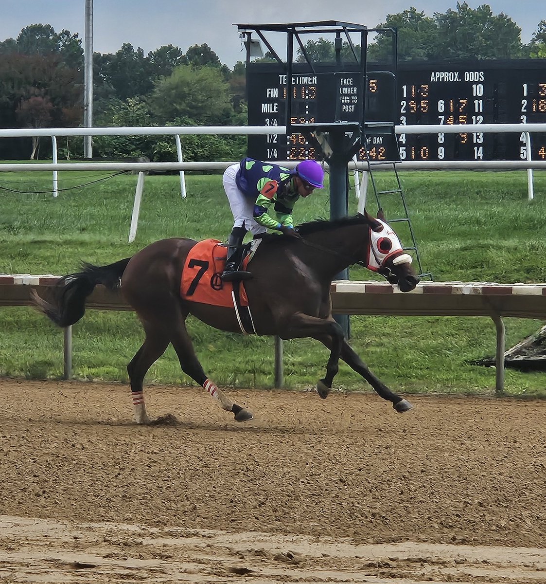 The Racing Biz (@theracingbiz) on Twitter photo Jumping the Gun and Julio Hernandez gallop in the Blue Hen <a href="/DelParkRacing/">Delaware Park</a> 2yo Gun Runner filly trained by Andy Simoff Jumping the Gun and Julio Hernandez gallop in the Blue Hen <a href="/DelParkRacing/">Delaware Park</a> 2yo Gun Runner filly trained by Andy Simoff