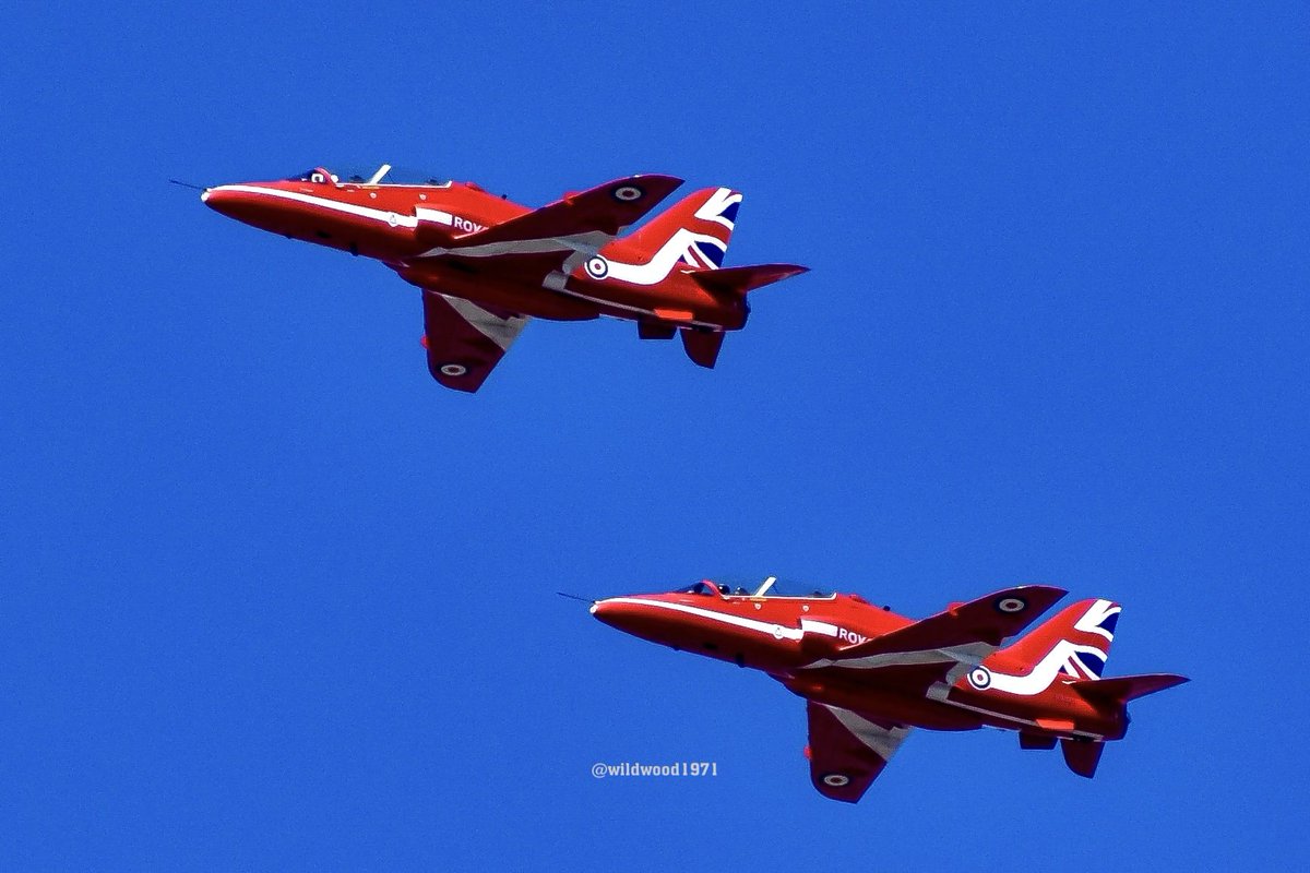 Wildwood1971 (Wild and Woody Photography) tweet media