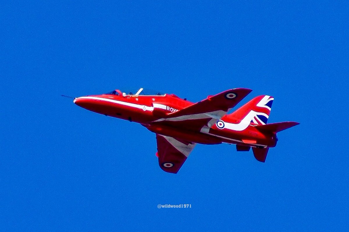 Wildwood1971 (Wild and Woody Photography) tweet media