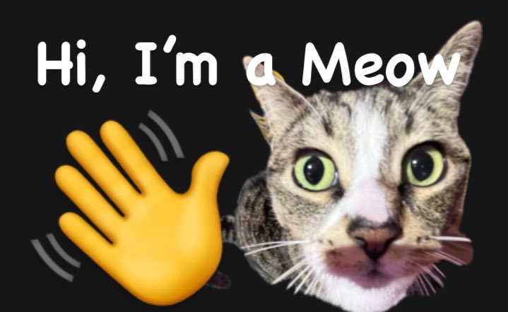 bean_and_chaton's tweet image. Hi, we are Meows

#cats #CatsOfTwitter