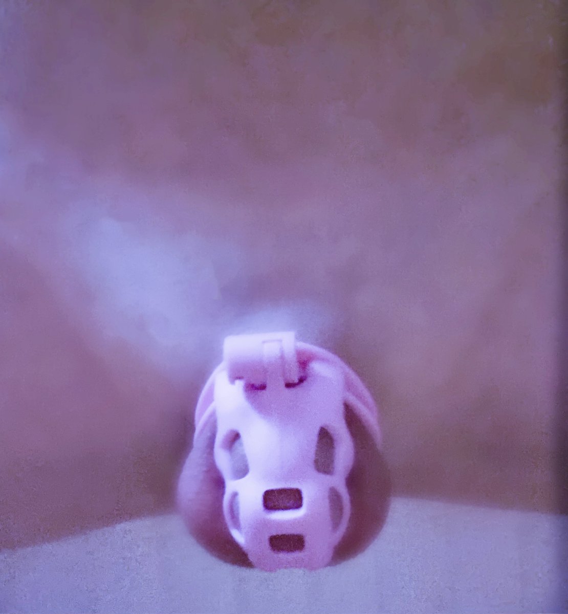 #사정관리 #정조대 #시디 #CD