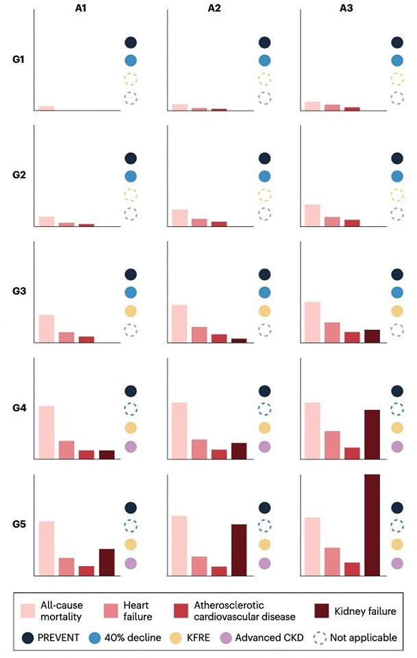 🔴Risk-directed management of chronic kidney disease⤵️ #2025Review <a href="/NatRevNeph/">Nature Reviews Nephrology</a>  

🔹nature.com/articles/s4158…  
 #Cardiology #FOAMed #MedEd #medstudent #paramedic #Cardiology #CardioEd #medtwitter #meded #CardioTwitter #cardiotwiteros  #MedX #cardiovascular #MedTwitter
