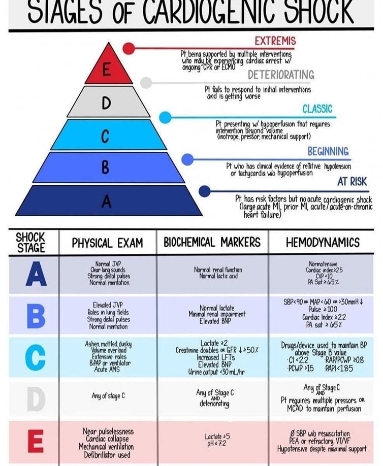 🔴Cardiogenic Shock Made Simple🫀⤵️

🔹⚡️⚡️⚡️
#CardioMed #MedEd #MedX
 #medtwitterWhat #MedTwitter #CardioEd #medx #medEd #CardioTwitter #cardiotwitter #MedX #MedEd #cardiology #cardiotwiteros #FOAMed #medicine #cardiox #medical #cardiovascular #medtwitter #medtwitter #paramedic
