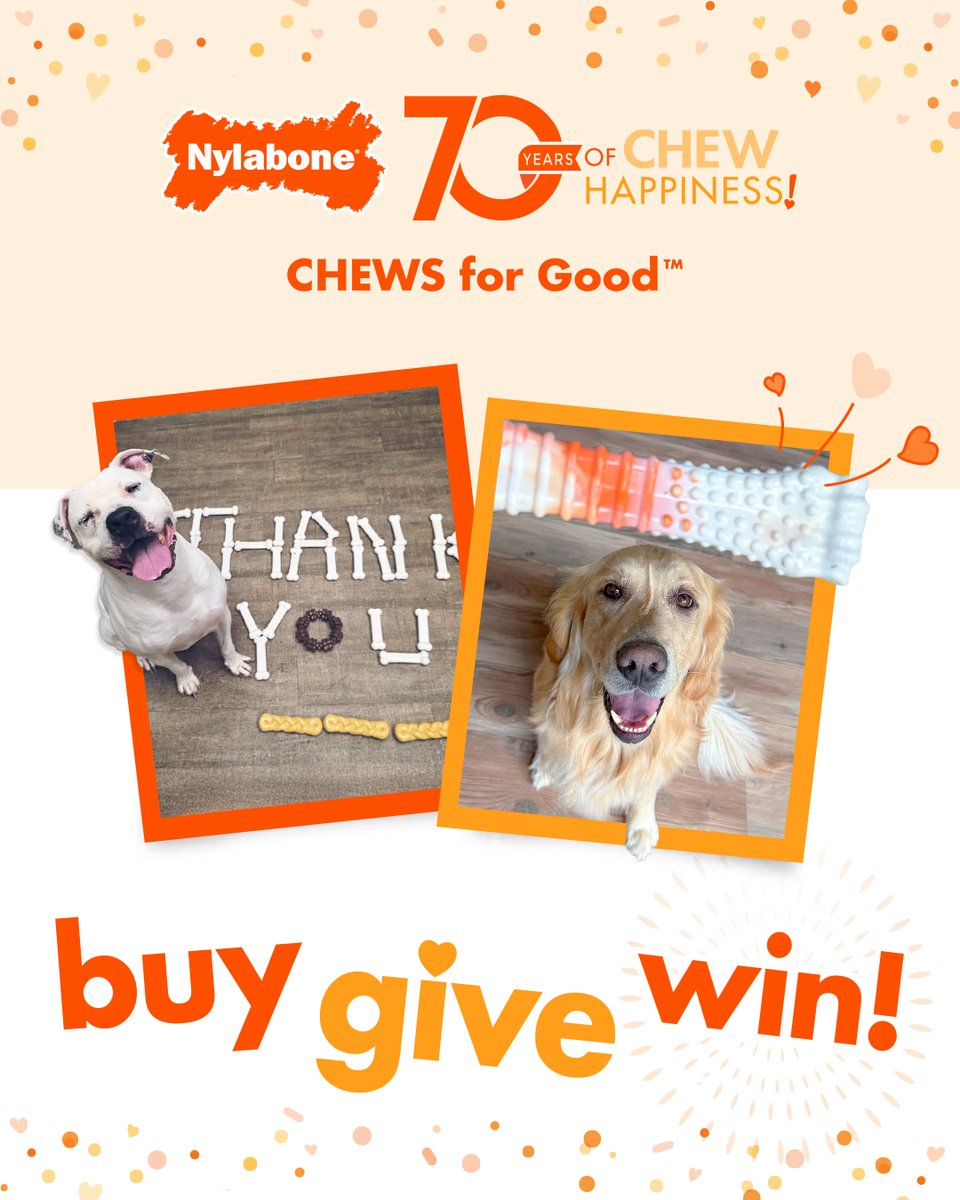 Did you recently buy a Nylabone chew toy or treat? You can make a shelter dog's day! Upload your receipt on NylaboneCares.com and we'll donate a chew toy with every purchase. 🧡

#ChewsForGood #Nylabone #giveaway #dogtoys #doglover #rescuedogs #shelterdogs