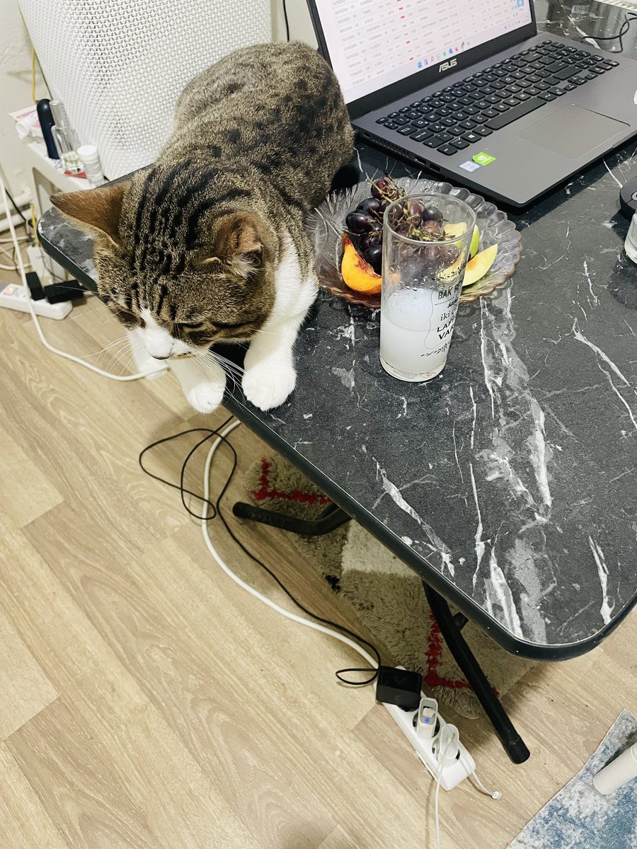 İçme diyorum ama dinleyen kim 🤣