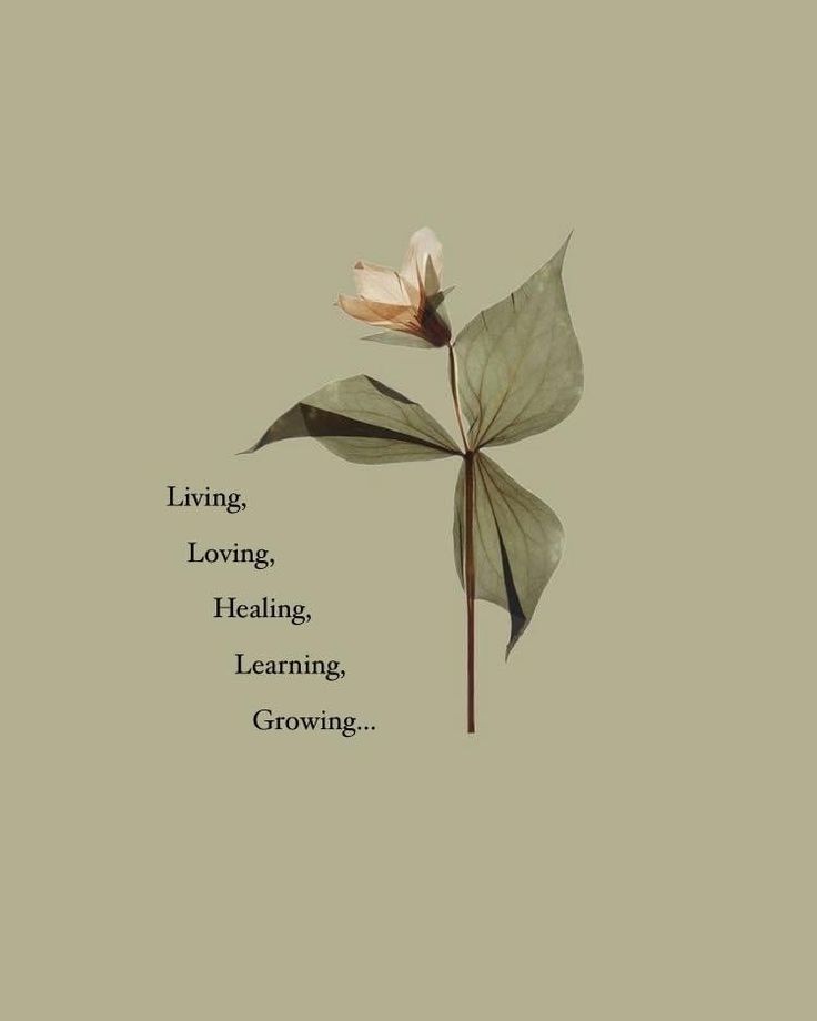 POSITIVITY (@positivitysaid) on Twitter photo 
