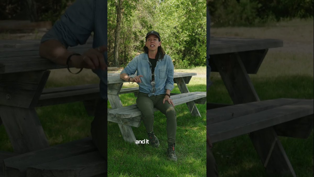 evshift's tweet image. #Launching into #Bmw #Championship #Weekend with an #Epic ...
 
evshift.com/334184/launchi…
 
#BmwUsa #ElectricCars #ElectricVehicles #EV