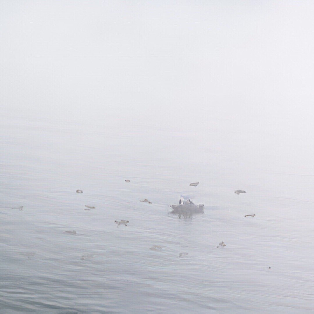 S D Locke tweet media