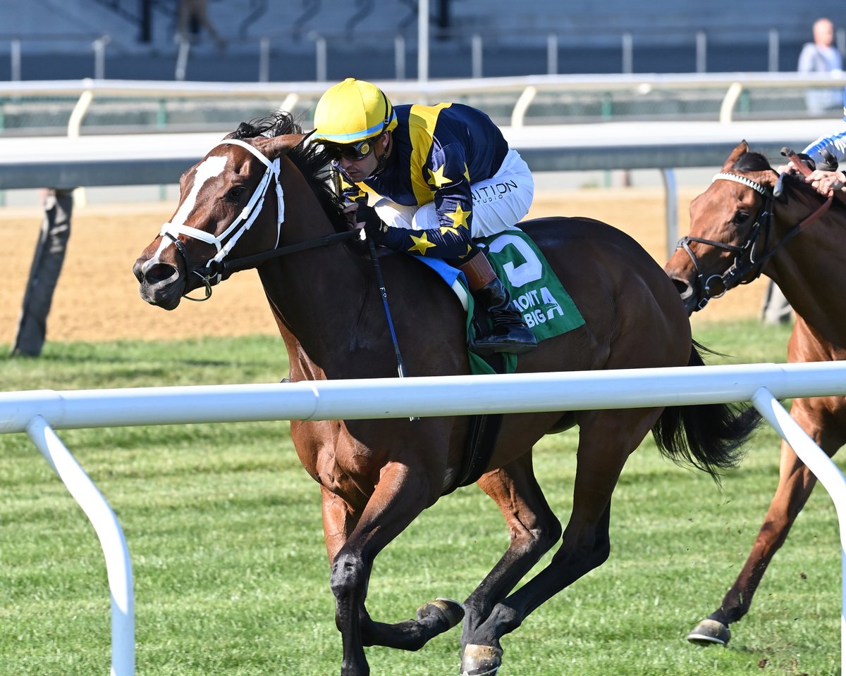 TwinSpires Racing 🏇 (@twinspires) on Twitter photo Ellen Jay returns to the races in tomorrow's Smart and Fancy S. at Saratoga! 🤩
The 4YO daughter out of Covfefe is 3-for-3 on the 🍀!
<a href="/bradcoxracing/">Brad H. Cox Racing</a> <a href="/LNJFoxwoods/">LNJ Foxwoods</a> Ellen Jay returns to the races in tomorrow's Smart and Fancy S. at Saratoga! 🤩
The 4YO daughter out of Covfefe is 3-for-3 on the 🍀!
<a href="/bradcoxracing/">Brad H. Cox Racing</a> <a href="/LNJFoxwoods/">LNJ Foxwoods</a>
