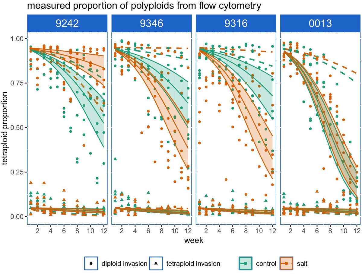 Mutual invasion experiments of polyploid duckweed show that competitive effects and salt stress conditions could not help the overcome the #polyploidy disadvantage to their direct diploid progenitors <a href="/FrederikMortier/">Frederik Mortier</a>
Paper: buff.ly/WisS0YE
Blog: buff.ly/IME0FoS