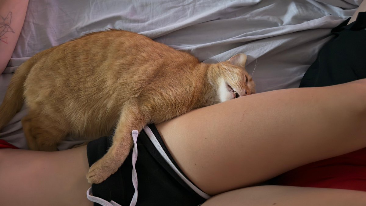 Maman malade, Simba aide comme il peut, mais le sommeil et plus fort