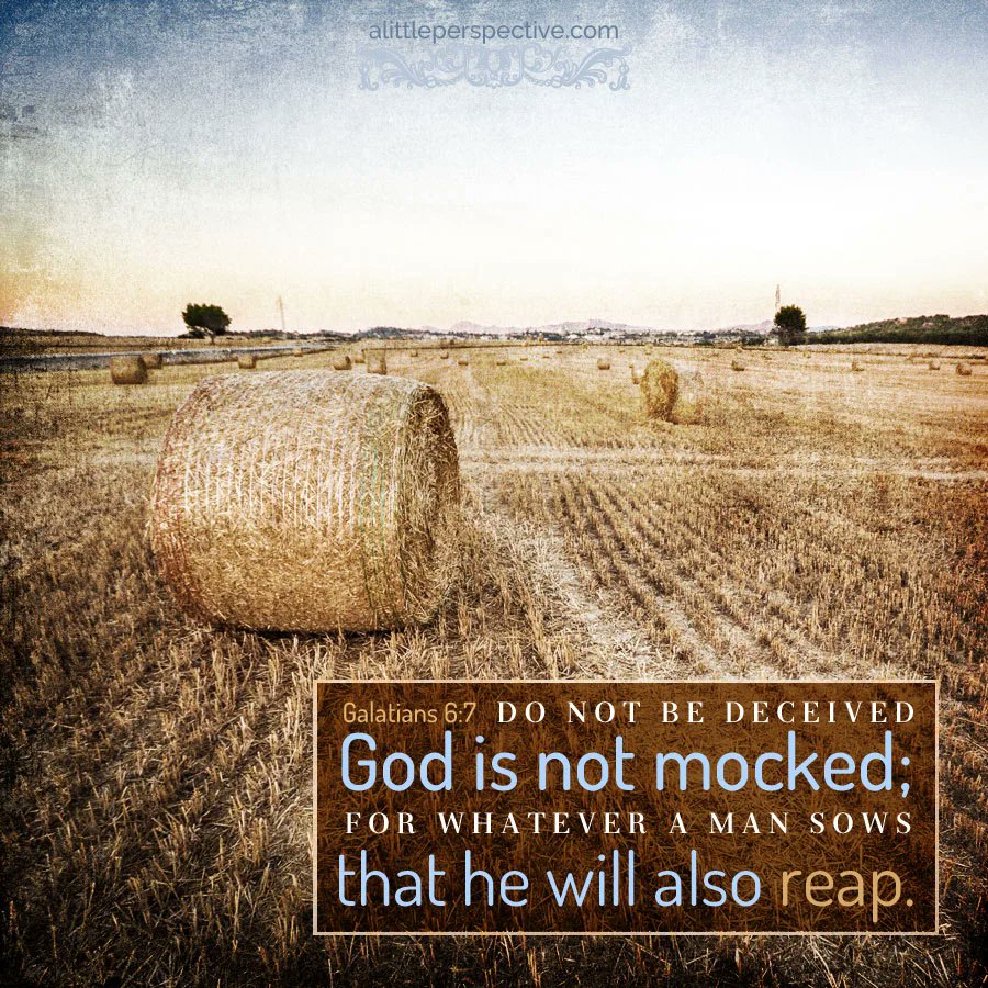 DentonKollar's tweet image. Do not be deceived, God is not mocked;
for whatever a man sows, that he will also reap.

For he who sows to his flesh will of the flesh reap corruption, but he who sows to the Spirit will of the Spirit reap everlasting life.

- Galatians 6:7-8 (NKJV)

#Jesus #Christ #eternalLife