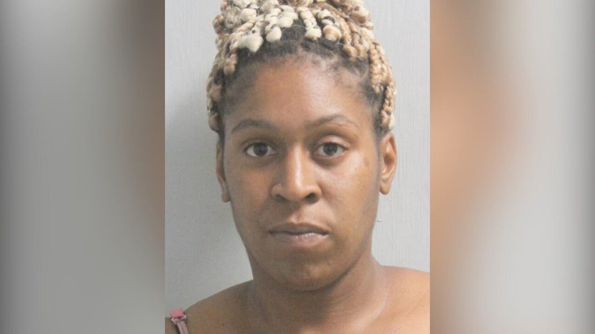 Deadly hit-and-run suspect facing manslaughter charge tinyurl.com/4ru4kau2?utm_s…