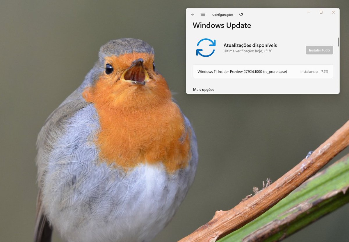 Maison da Silva 🇧🇷 Microsoft MVP (@maisondasilva) on Twitter photo New Builds @WindowsInsider Canary 27924!✈️
Installing and flying with <a href="/ErikMoreau/">Erik Moreau #MVP #MODERNDESKTOP 🇧🇪</a> 📷<a href="/JamesvandenBerg/">James van den Berg MVP ☁</a> <a href="/aavdberg/">André van den Berg - MVP 🇳🇱 🐱👤 🇺🇦</a>. #MVPBuzz
<a href="/amanda_lango/">Amanda Langowski</a> <a href="/NorthFaceHiker/">Jason Howard</a> <a href="/JenMsft/">Jen Gentleman 🌺</a> <a href="/megahoch/">Megan Gremmell</a> <a href="/brandonleblanc/">Brandon LeBlanc</a> <a href="/WindowsLove3/">Iwona Cudak | Former #WIMVP</a> <a href="/DJ_EddieL/">Eddie Leonard</a> <a href="/_sumitdh/">Sumit</a>
#TimeToFlight #WindowsInsiders
aka.ms/WIP27924 New Builds @WindowsInsider Canary 27924!✈️
Installing and flying with <a href="/ErikMoreau/">Erik Moreau #MVP #MODERNDESKTOP 🇧🇪</a> 📷<a href="/JamesvandenBerg/">James van den Berg MVP ☁</a> <a href="/aavdberg/">André van den Berg - MVP 🇳🇱 🐱👤 🇺🇦</a>. #MVPBuzz
<a href="/amanda_lango/">Amanda Langowski</a> <a href="/NorthFaceHiker/">Jason Howard</a> <a href="/JenMsft/">Jen Gentleman 🌺</a> <a href="/megahoch/">Megan Gremmell</a> <a href="/brandonleblanc/">Brandon LeBlanc</a> <a href="/WindowsLove3/">Iwona Cudak | Former #WIMVP</a> <a href="/DJ_EddieL/">Eddie Leonard</a> <a href="/_sumitdh/">Sumit</a>
#TimeToFlight #WindowsInsiders
aka.ms/WIP27924