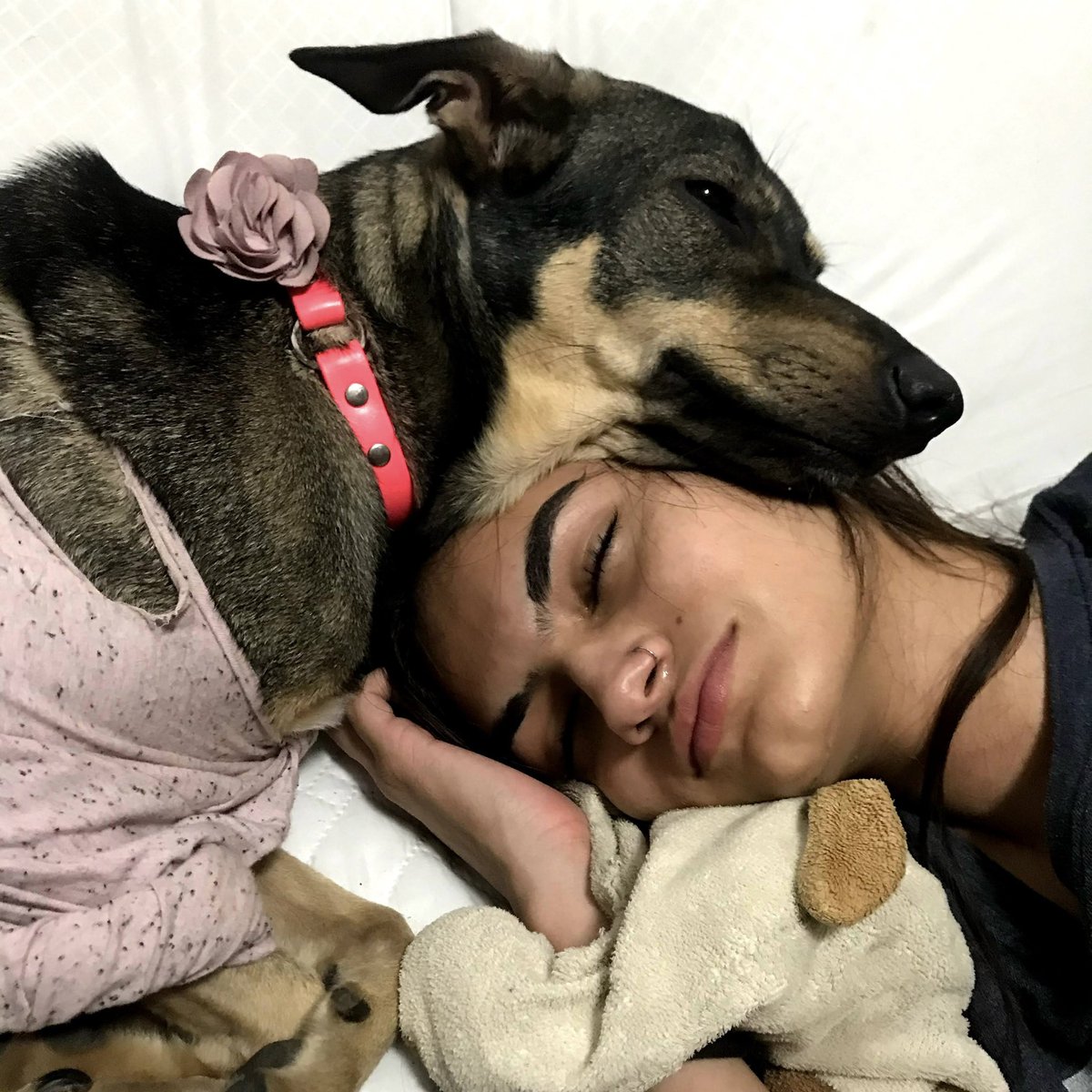 raehpollita's tweet photo. ¡SE BUSCA A MAZE!
Ayúdenme a compartir pls :c

Mazey, volvé, te voy a dejar dormir en mi cama y te voy a prestar la almohada 😔 https://t.co/QdUiAvoIss