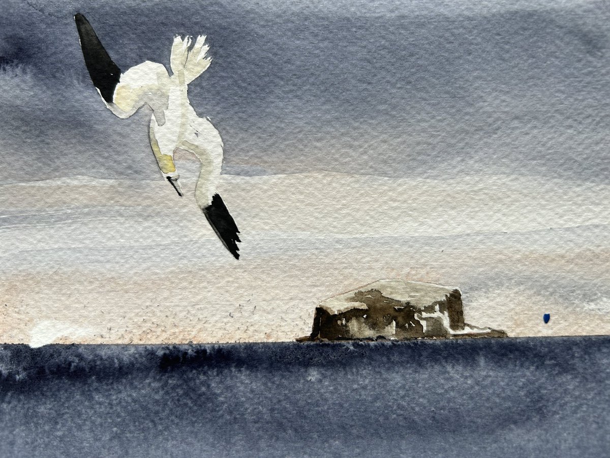 Jim Moir tweet media