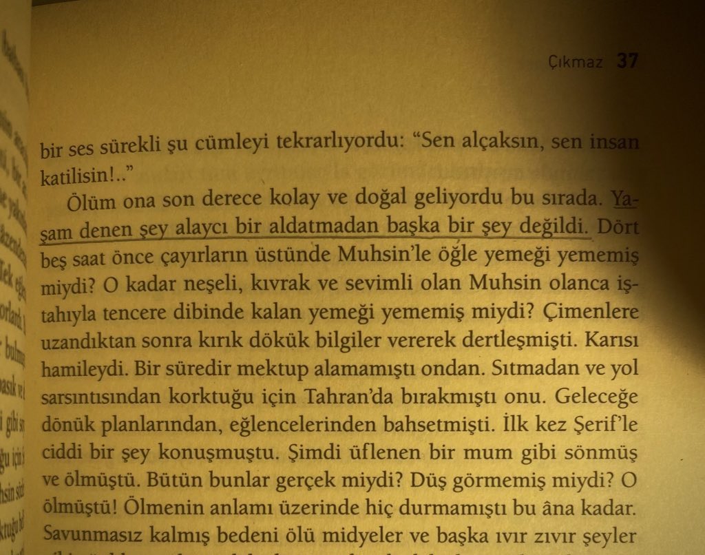 yaşam denen şey
alaycı bir aldatmadan
başka bir şey değildi