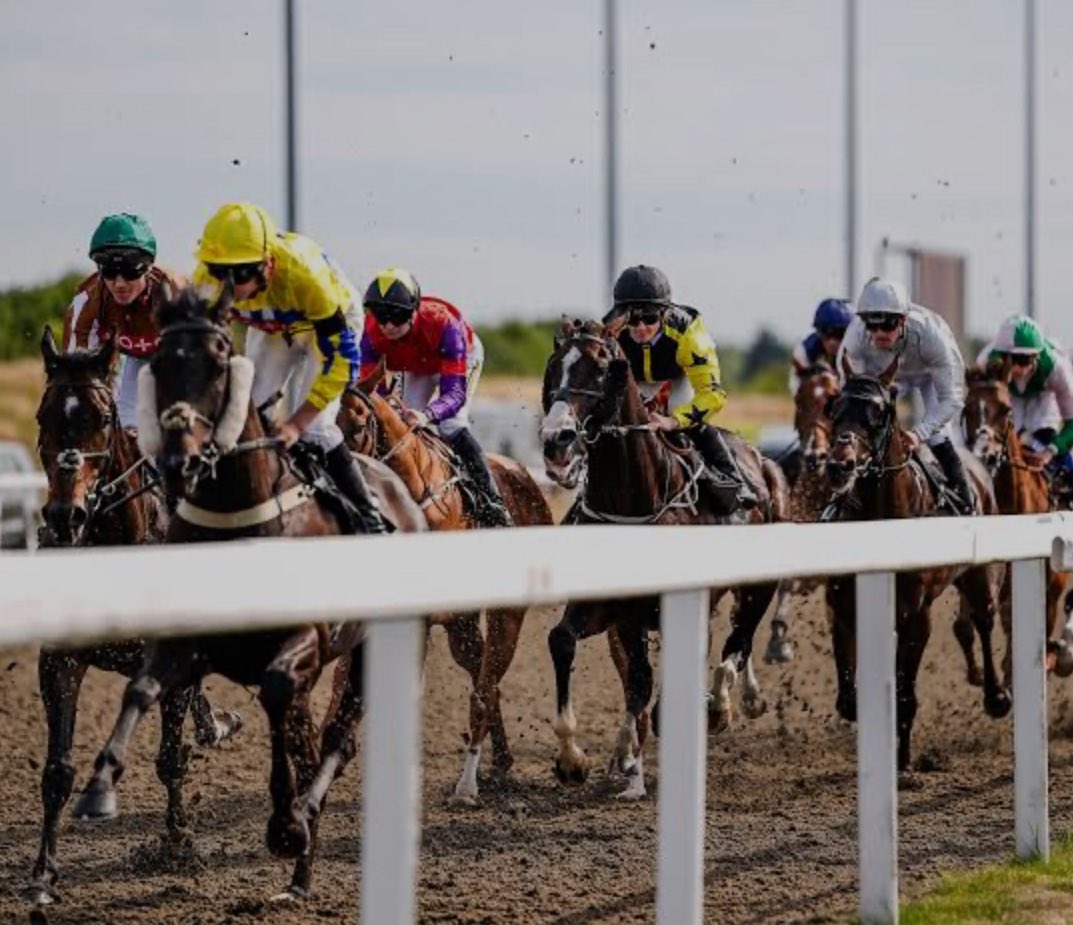 dickieevans1's tweet photo. 8.45 Chelmsford 

Backer Bilk 2/1. ⭐️⭐️⭐️⭐️⭐️⭐️⭐️ 7 star

Great record over this distance and massive chance tonight.
First run for the trainer and should be very hard to beat. https://t.co/6H71OJOxSX