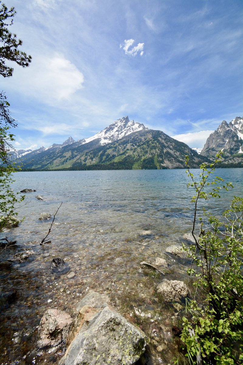 Lou D'Ermilio tweet media