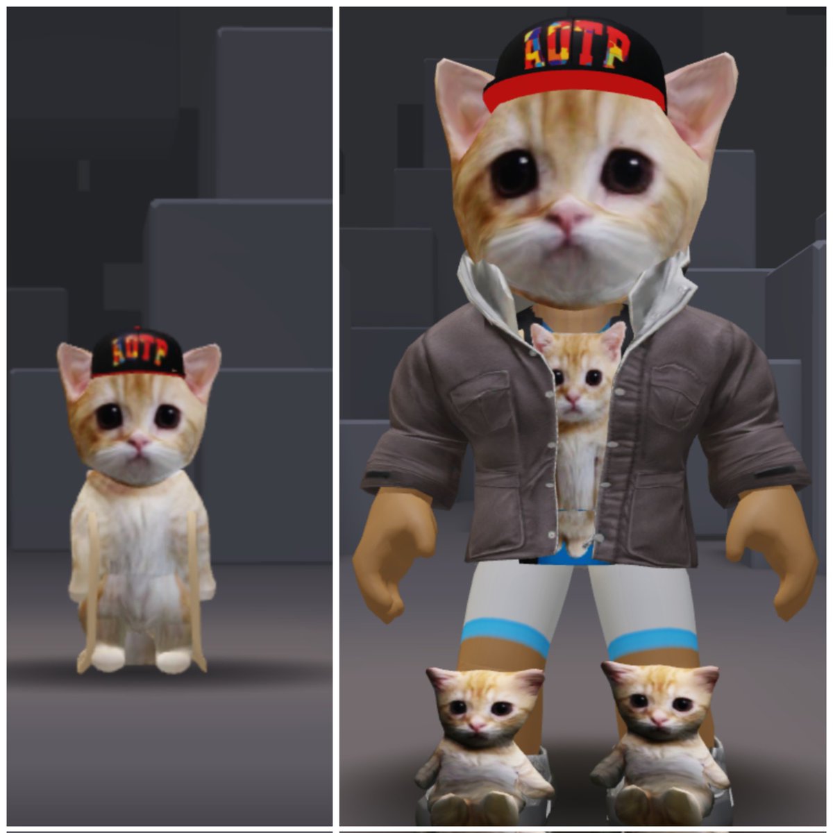 WorkSergio82843's tweet photo. @Galio_OTP 😸😺 https://t.co/Lk8XTeKDa7