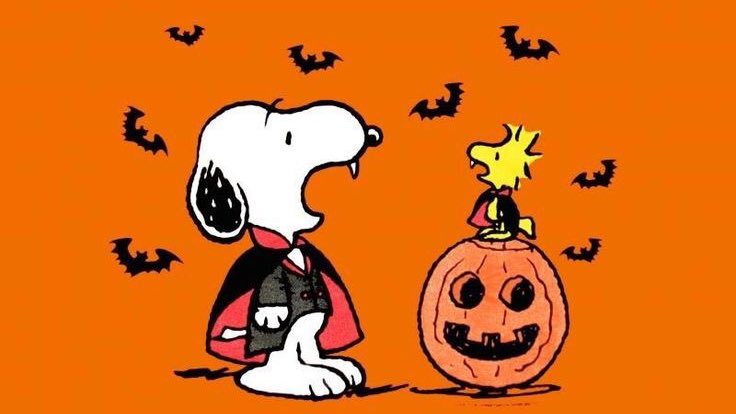 snoomfies's tweet photo. “It’s not even October yet! You can’t celebrate Halloween”
My spooky ass: https://t.co/5ZvgQjaW8E