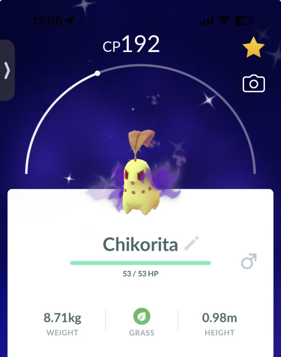Brockychu's tweet image. I was so excited for this one! ✨ Shadow Chikorita!

 #ShinyPokemon #shadowpokemon #pokemongo #pogo #chikorita #shinyshadow #shinychikorita