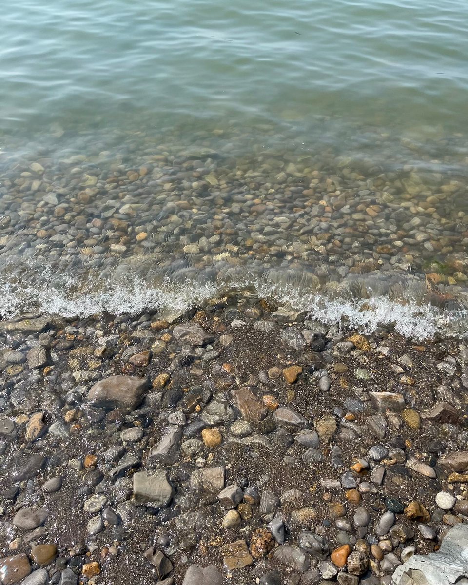 selkirkpp's tweet photo. 🌲 Here’s how you can prevent the spread of invasive species:

🪵 Buy and burn local wood
🥾 Brush your boots before hiking
🛶 Clean and dry water vessels
🎣 Dispose of live bait properly
🌱 Educate yourself on invasive species

https://t.co/fcLSxnIpsy

#OntarioParks #DiscoverOP https://t.co/RPMGCxOw93