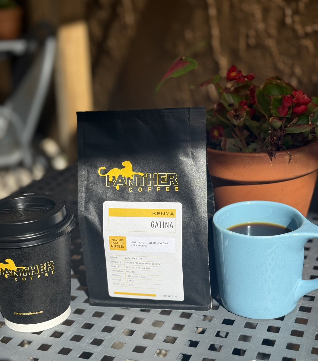 From the slopes of Mt. Kenya to your cup 
￼
￼
Meet Gatina, our newest arrival from smallholder farmers in Nyeri County, Kenya.
Bright and sweet with notes of lime, persimmon, and honeycomb, this exceptional coffee is a labor of love from the families who carefully cultivate it.