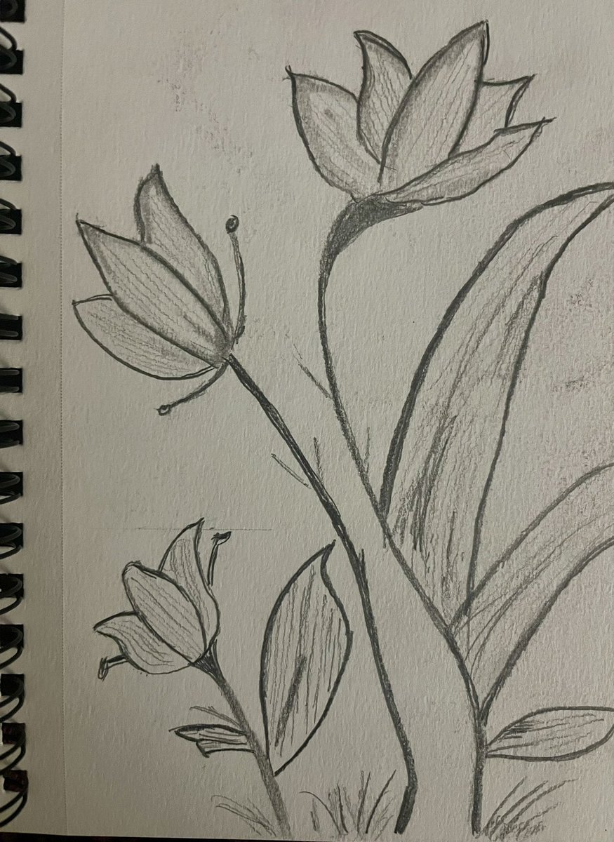 My sketch wildflowers has just been listed for auction on <a href="/objktcom/">objkt</a> 

Opening bid 3.5xtz let’s go! 
1/1 link 👇 below 👇