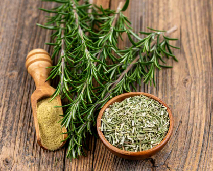 KristenJakobitz's tweet image. Did you know? #Rosemary may improve blood vessel health and potentially reduce the risk of heart attacks. It acts as a vasodilator, widening blood vessels and improving #circulation. Incorporate rosemary into your diet by adding it to various dishes, using it to make tea, or even…