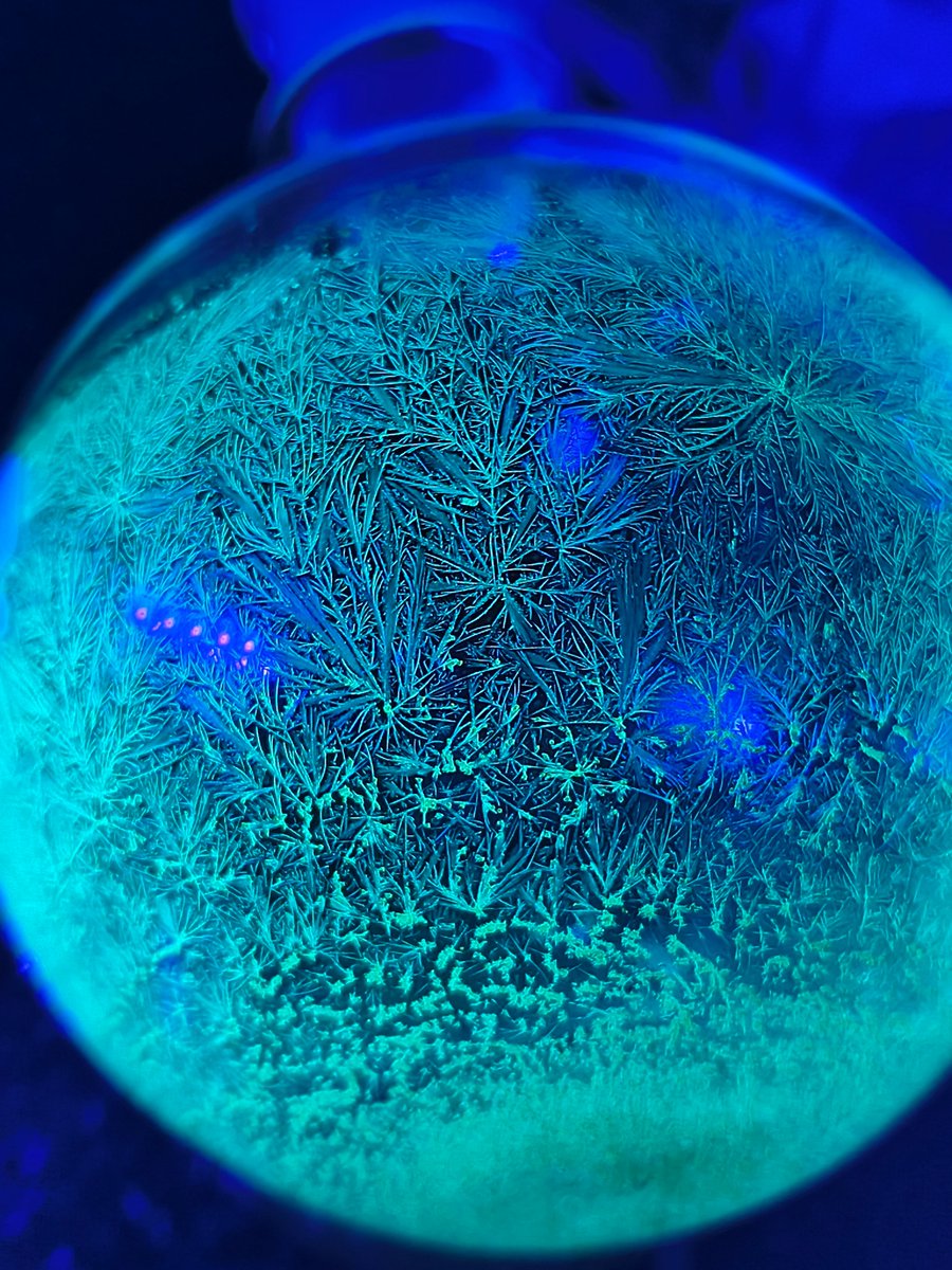 ParthaNandichem's tweet photo. Crystalline Elegance ✨ 🪩 #ScienceIsBeautiful #FluorescenceFriday #chemtwitter #realtimechem #scicomm #phdlife https://t.co/C1P6iYpCkr